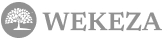 wekeza-new